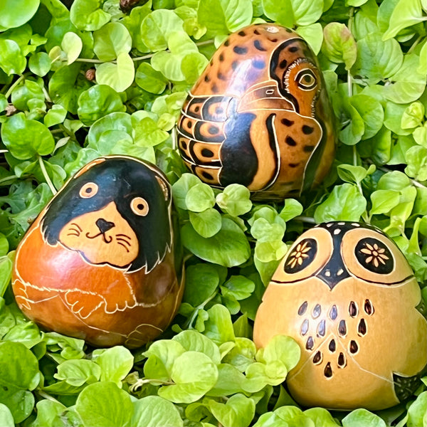 Gourd Shaker Animal Motif - J0447