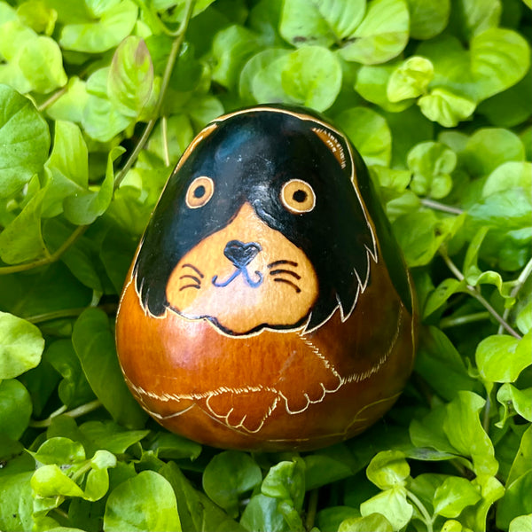 Gourd Shaker Animal Motif - J0447