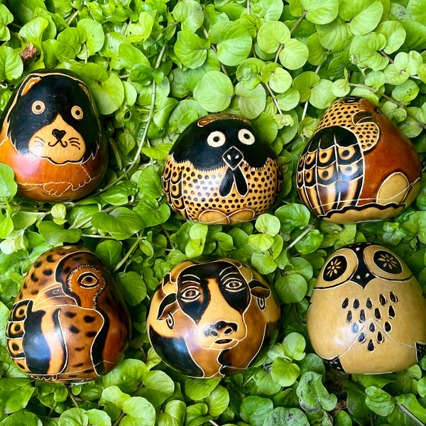 Gourd Shaker Animal Motif - J0447