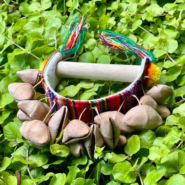 Half Moon Seed Pod Shaker - R0035