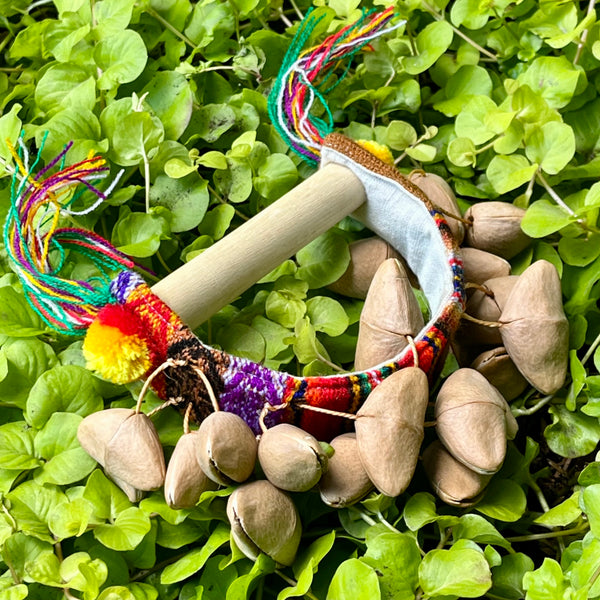 Half Moon Seed Pod Shaker - R0035
